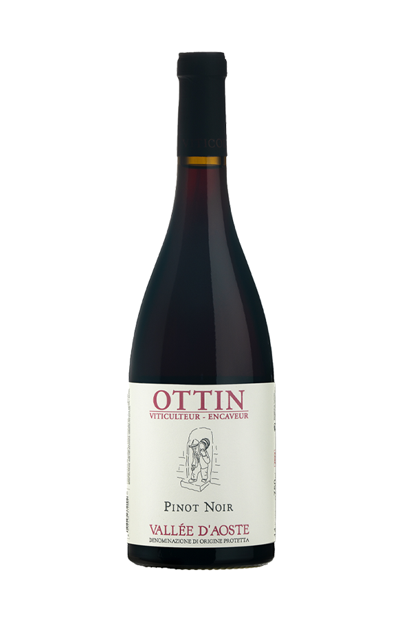 Pinot Noir 2023
