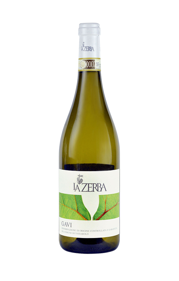 Gavi 2024