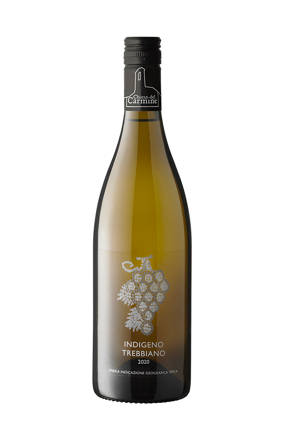 Trebbiano 'Indigeno' 2024