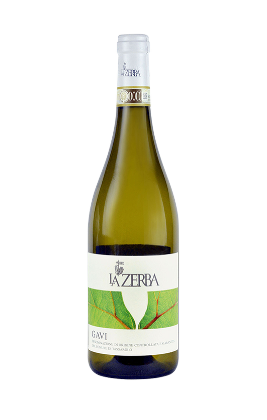 Gavi 2024