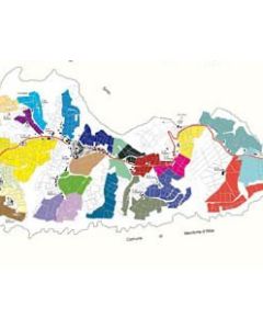 Wine Map: SERRALUNGA 
by Alessandro Masnaghetti 